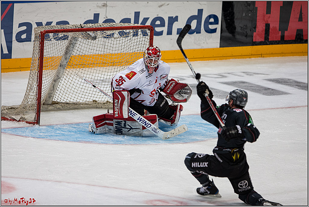 DEL, Koelner Haie - Fishtown Pinguins Bremerhaven, 29.01.2017
